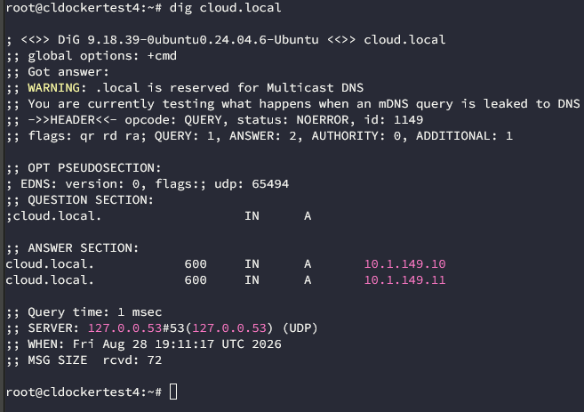 Running dig on a locally hosted domain in the home lab