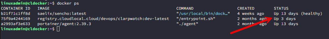 Viewing containers with docker ps