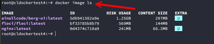 Viewing docker images on a docker container host