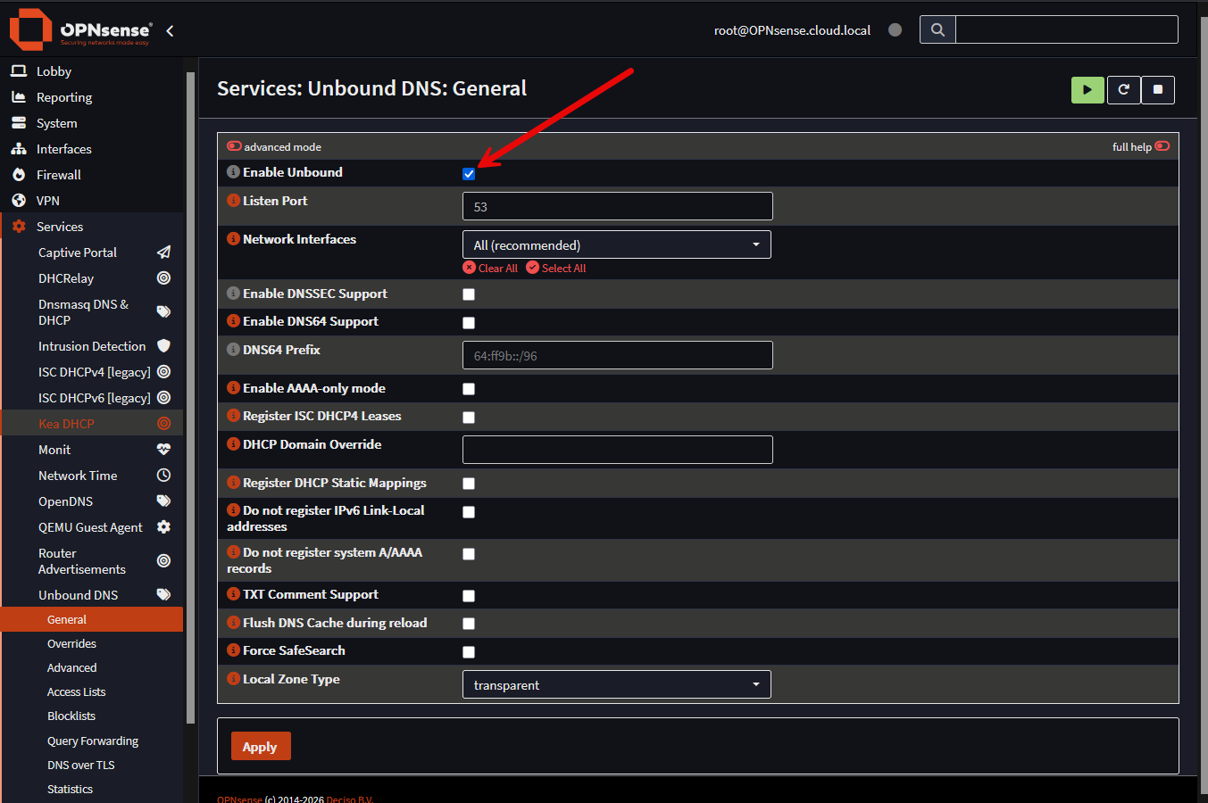 Viewing opnsense unbound settings and configuration in the interface