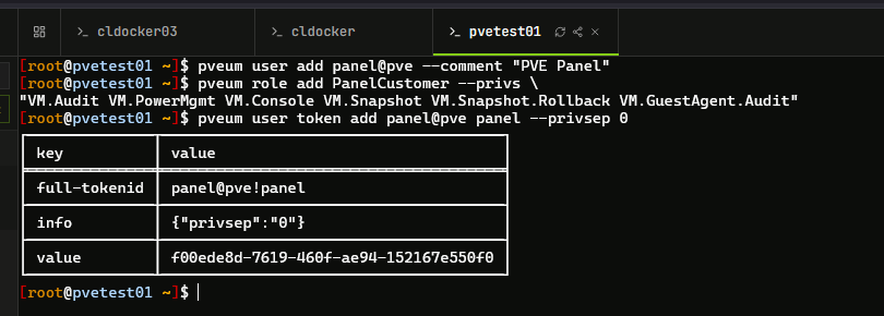 Creating the dedicated panel user and role permissions along with api key