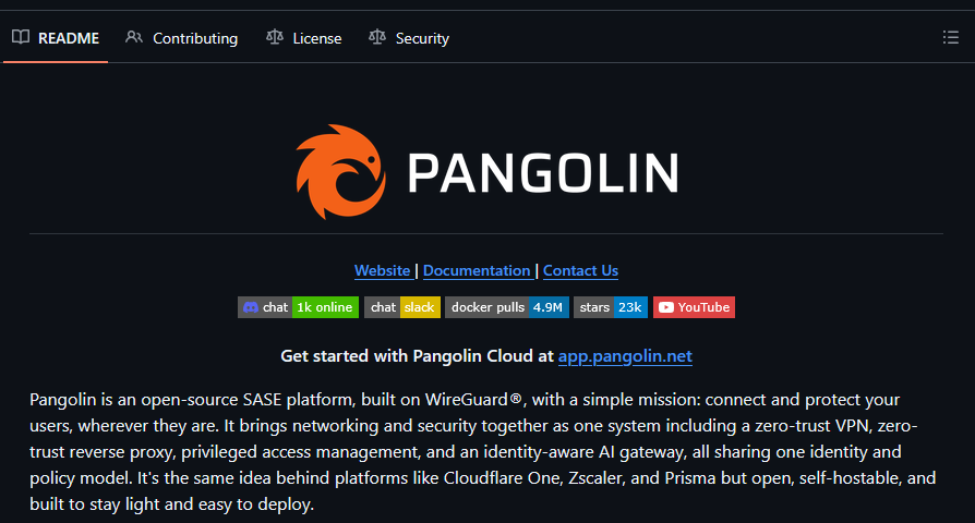 Pangolin open source sase solution that you can self host
