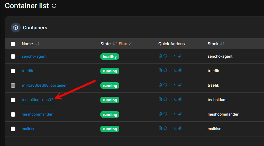Running a dns server container on a docker container host