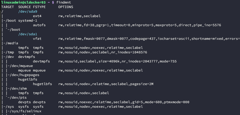 Running the findmnt command to see all the mounts in linux