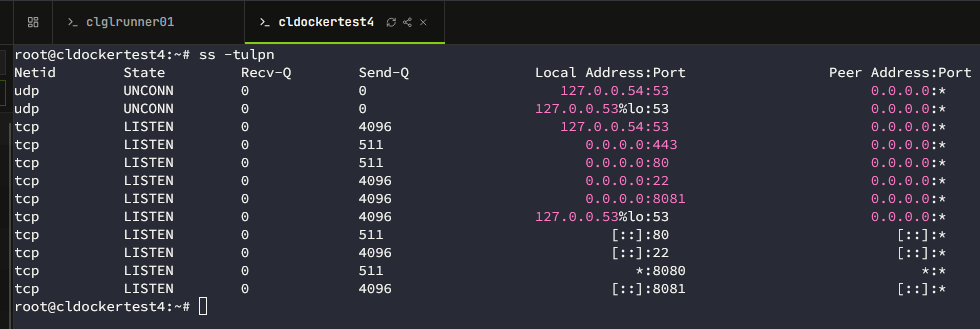 The ss command is one of the most powerful linux network troubleshooting commands