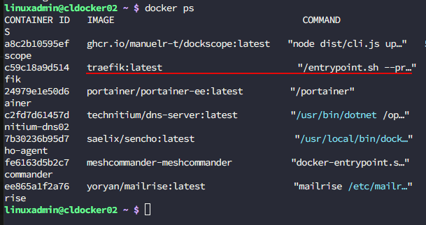 Traefik container running with the other containers