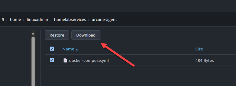 Downloading files from the file level restore in pve flr portal