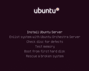 ubuntu1110-2