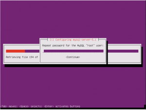 ubuntu1110-30