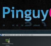 pinguyfeat