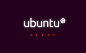 ubuntu1304_1