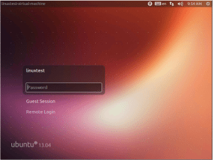 ubuntu1304_13