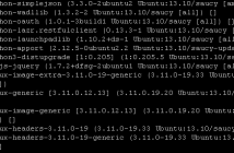 Install all updates besides select few Ubuntu Server