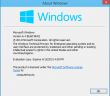 Windows 10 Security concerns already