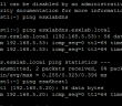 Lightweight DNS Server for VMware Lab