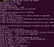 Install KVM Ubuntu Server VMware Workstation