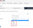 Vembu Perpetual Licensing Service Provider Program and GDPR