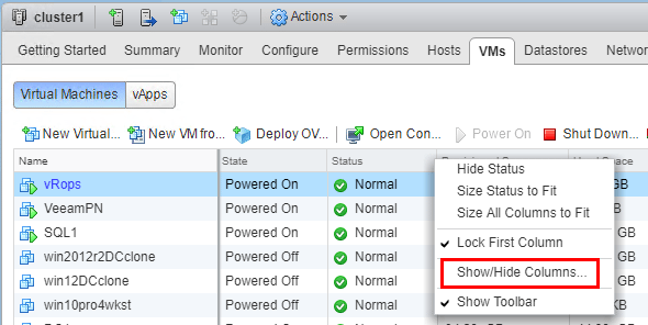 Choosing-VMware-Tools-version-status-column-to-display