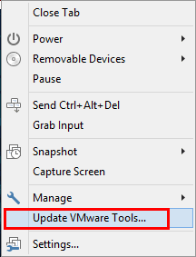 Start-the-VMware-Tools-update
