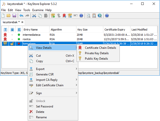 Keystore-Explorer-SSL-certificate-options