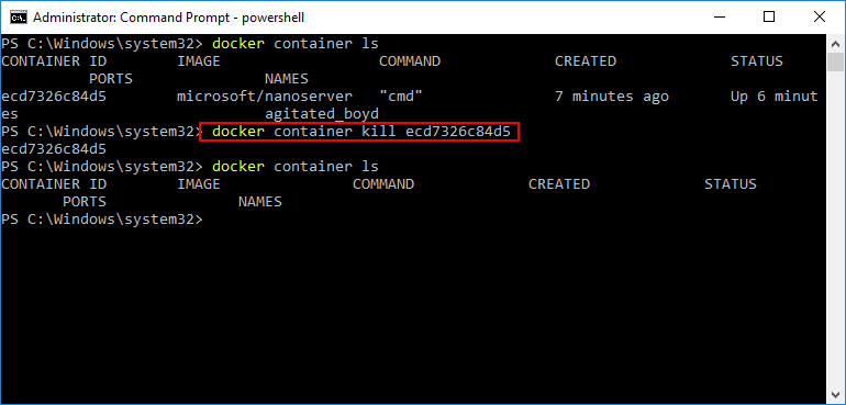 Killing-a-Windows-Server-2016-Hyper-V-Docker-Container