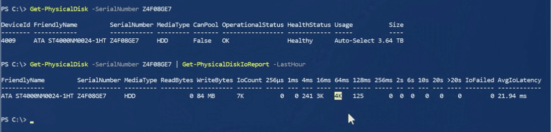 Piping-Get-PhysicalDisk-cmdlet-into-Get-PhysicalDiskIOReport-cmdlet-in-Windows-Server-2019-PowerShell