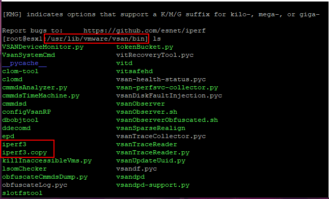 Viewing-the-iPerf3-utility-on-an-VMware-ESXi-host