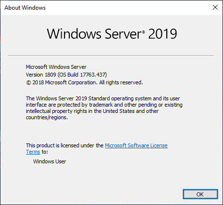 Windows-Server-2019-Unattended-Install-Windows-Updates