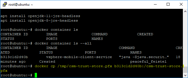 Copying-the-trust-store-to-Docker