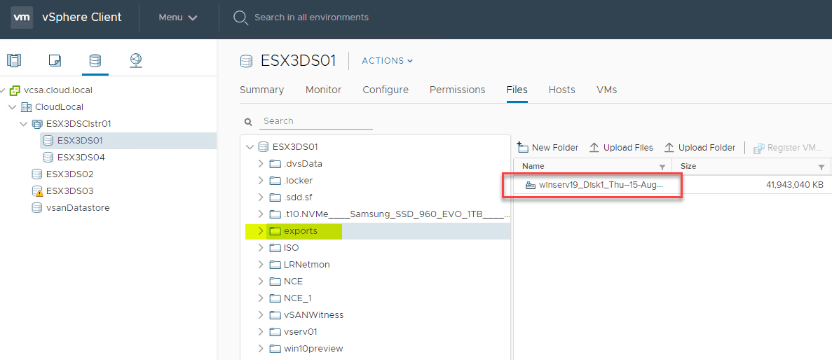 Viewing-the-exported-physical-server-VMDK-on-the-ESXi-host-datastore