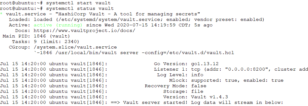 Starting-the-Vault-service-and-checking-the-status