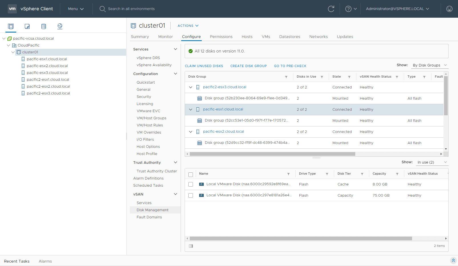 Disk-groups-created-for-both-sides-of-the-stretched-cluster