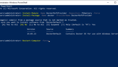 Installing-the-MsftDockerProvider-and-Docker