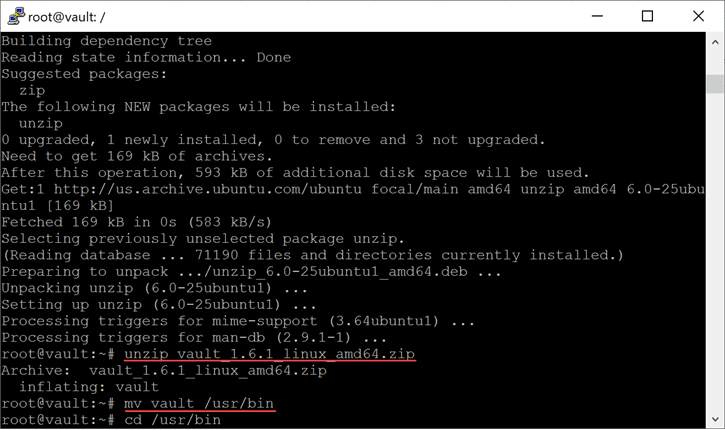 Unzip and move the Hashicorp Vault file