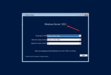 Windows server 2022 showing on the installer splash screen