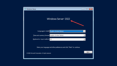 Windows server 2022 showing on the installer splash screen