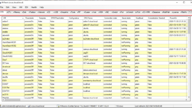 Launching and running rvtools 4.1.3