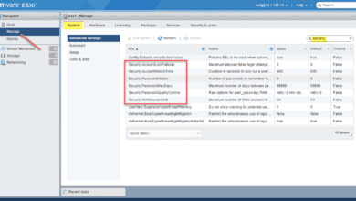 Vmware host client password security settings