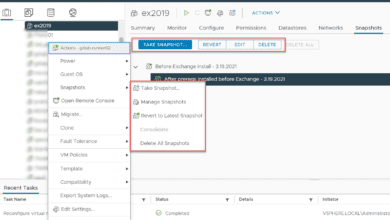 Managing vmware snapshots using the vsphere client