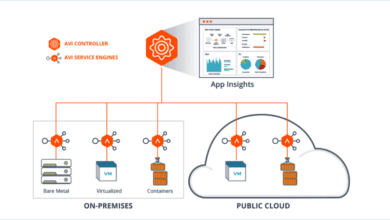 Avi controller and service engines