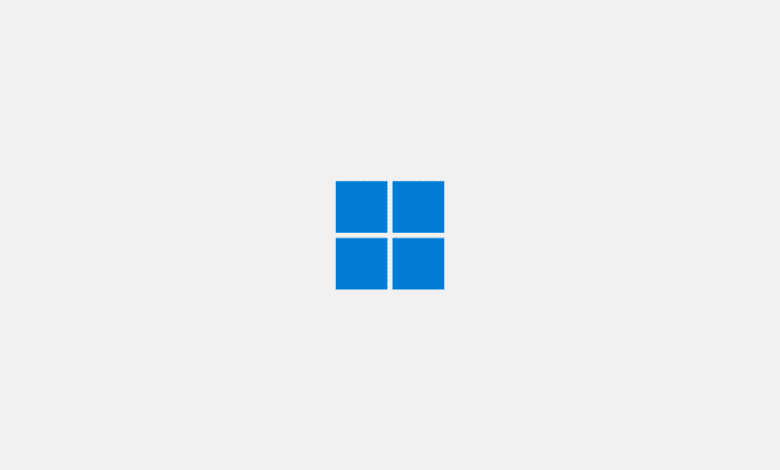 New windows 11 startup logo