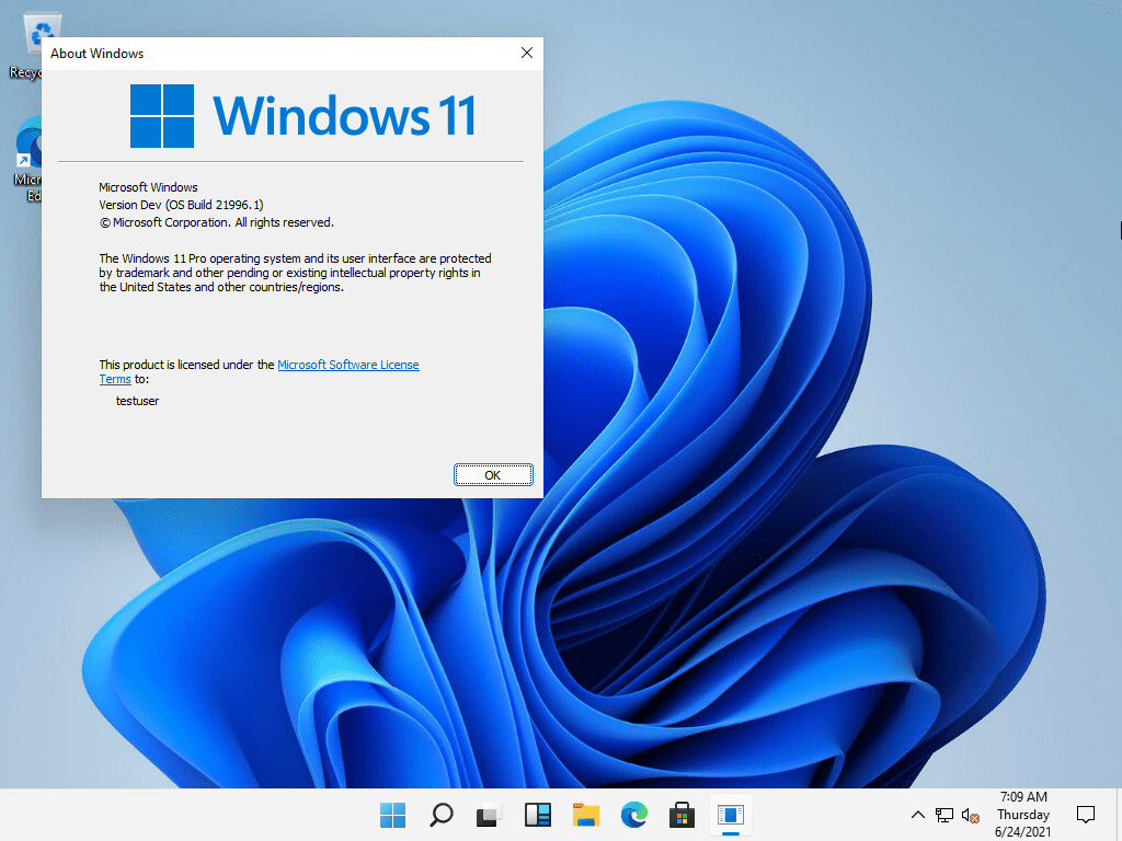 Viewing the windows 11 version