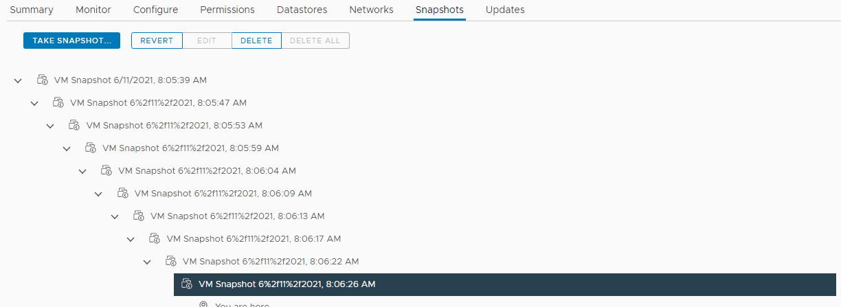 A virtual machine with multiple snapshots running in production