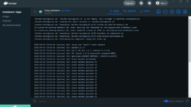 Interacting with a running container in wsl 2 via docker desktop