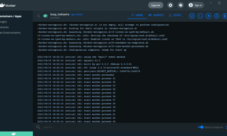 Interacting with a running container in wsl 2 via docker desktop