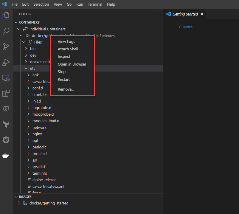 Performing actions on the container using visual studio code