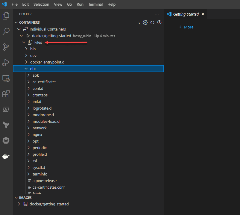 Viewing the files in the container in visual studio code