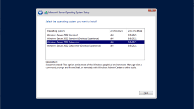 Choosing the Windows Server 2022 core installation