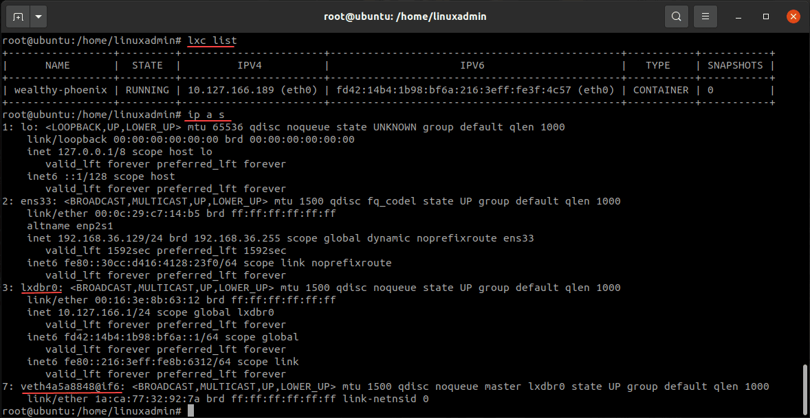 Listing the running containers and showing the network information