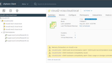 After stopping the Kubernetes services in vCenter Server